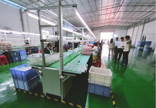 砥礪奮進(jìn)啟新程，鄉(xiāng)村振興謀新篇——浛洸鎮(zhèn)張陂村玩具加工廠隆重開業(yè)